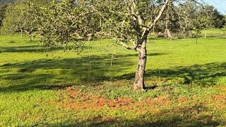 Land for sale in Albufeira, Portugal — €40,000