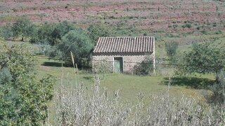Land for sale in Tavira, Portugal — €275,000