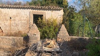Land for sale in Silves, Portugal — €290,000