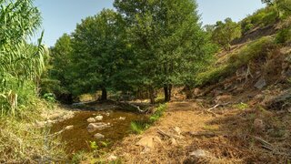 Terreno para venda em Monchique, Portugal — 55 000 €