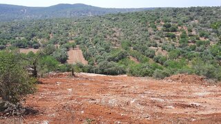 Land for sale in Loulé, Portugal — €95,000