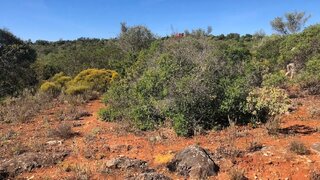 Land for sale in Olhão, Portugal — €55,000