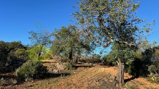Land for sale in Loulé, Portugal — €50,000