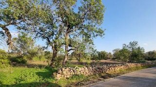Land for sale in Loulé, Portugal — €175,000