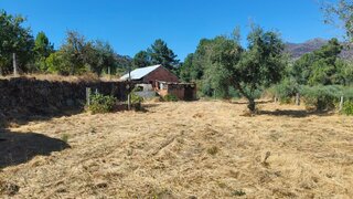 Terreno de 3500 m² em Castelo Branco