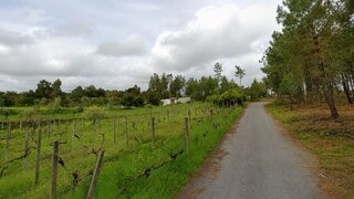 Land for sale in Sertã, Portugal — €56,000