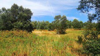 Land for sale in Bombarral, Portugal — €179,000
