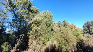 Land for sale in Fundão, Portugal — €85,000