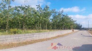 Terreno para venda em Pombal, Portugal — 180 000 €