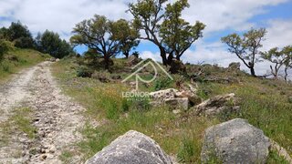 Land for sale in Idanha-a-Nova, Portugal — €30,000