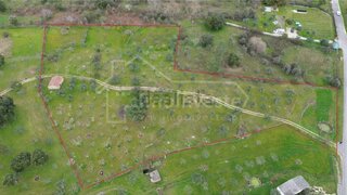 Terreno de 12 250 m² em Castelo Branco