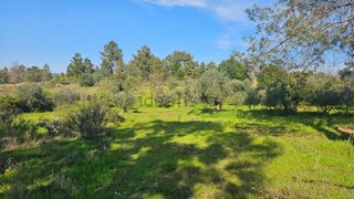 Terreno para venda em Fundão, Portugal — 10 000 €
