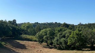 Land for sale in Alcobaça, Portugal — €77,000