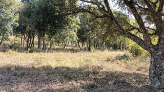 Land for sale in Bombarral, Portugal — €150,000