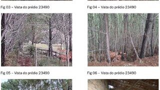 Terreno para venda em Proença-a-Nova, Portugal — 50 000 €