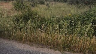 Land for sale in Idanha-a-Nova, Portugal — €11,000
