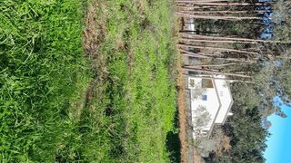 Terreno de 1000 m² em Leiria