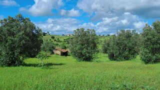 Land for sale in Torres Novas, Portugal — €20,000