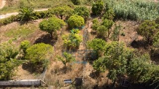 Terreno em Bombarral