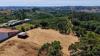 Land for sale in Alcobaça, Portugal — €55,000