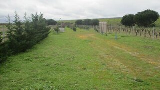 Terreno em Almeirim