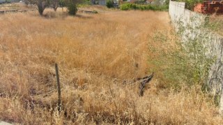 Land for sale in Alpiarça, Portugal — €53,000