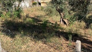 Land for sale in Covilhã, Portugal — €17,000