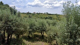 Land for sale in Batalha, Portugal — €130,000