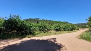 Terreno em Óbidos