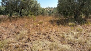 Land for sale in Ourém, Portugal — €7,500