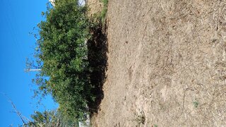 Land for sale in Tomar, Portugal — €25,000