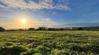 Land for sale in Alcobaça, Portugal — €167,500