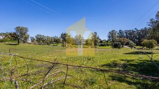 Terreno de 38 440 m² em Santarém
