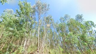 Land for sale in Figueiró dos Vinhos, Portugal — €18,000
