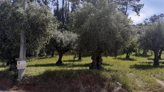 Land for sale in Ourém, Portugal — €29,000