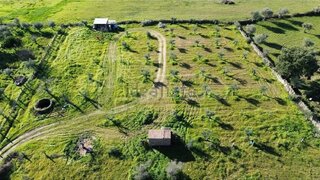 Terreno de 3625 m² em Castelo Branco