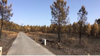 Land for sale in Mação, Portugal — €35,000
