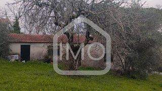 Land for sale in Pombal, Portugal — €56,000