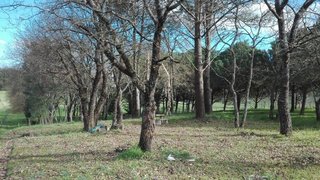 Land for sale in Batalha, Portugal — €9,500