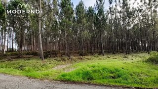 Terreno para venda em Pombal, Portugal — 125 000 €