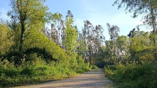 Land for sale in Alcobaça, Portugal — €16,500