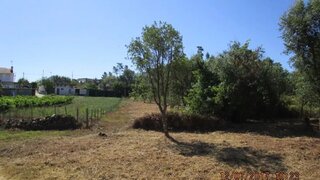 Land for sale in Tomar, Portugal — €35,000