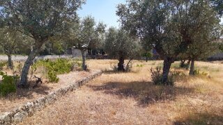 Terreno de 1500 m² em Castelo Branco