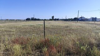 Land for sale in Alpiarça, Portugal — €50,500