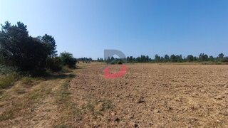 Terreno em Castelo Branco