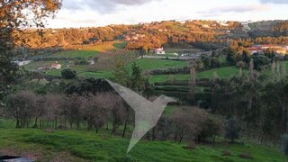 Land for sale in Alcobaça, Portugal — €95,000