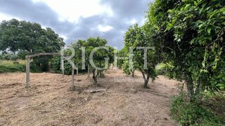 Terreno de 3775 m² em Santarém
