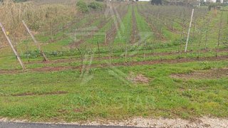 Land for sale in Caldas da Rainha, Portugal — €70,000