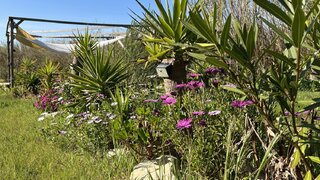 Land for sale in Peniche, Portugal — €249,000