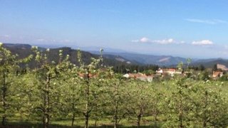 Land for sale in Ferreira do Zêzere, Portugal — €26,500